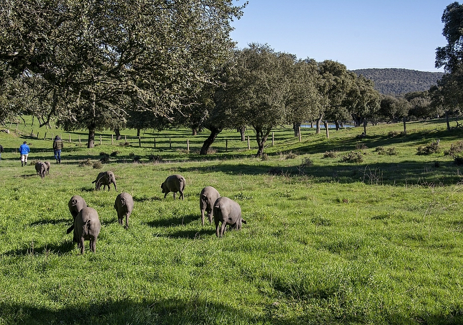 I nostri campi